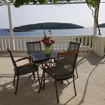 Feral モルナット