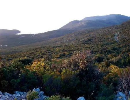 Feral ゲストハウス モルナット